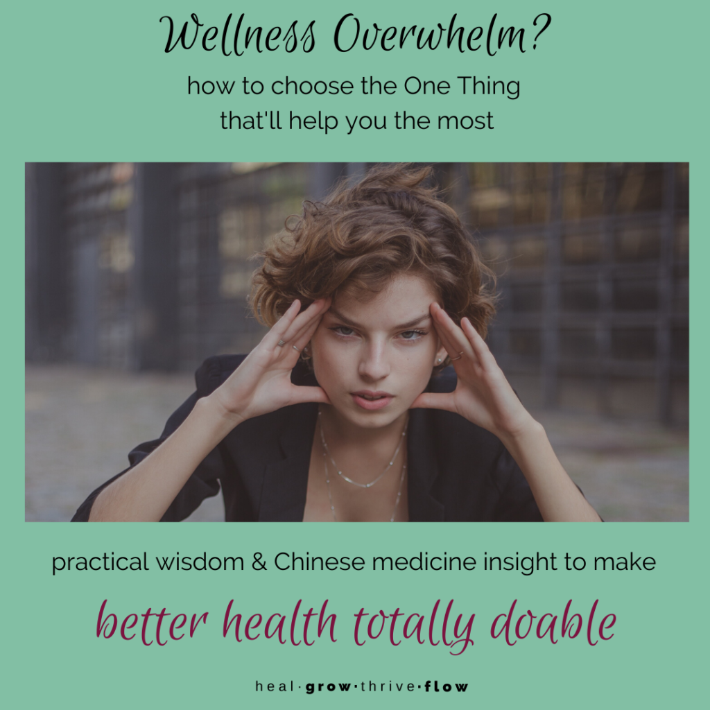 Wellness Overwhelm how to choose the One Thing that will make the biggest difference by Leilani Navar at healgrowthriveflow.com