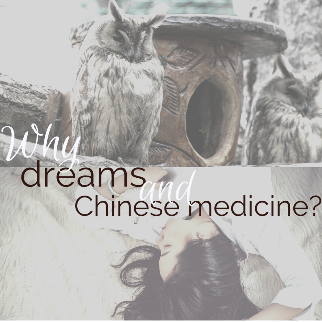 Why Bring Dreams and Chinese Medicine Together by Leilani Navar at healgrowthriveflow.com