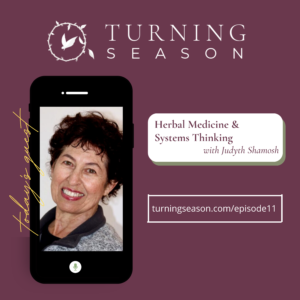 Turning Season Podcast Episode 11 Herbal Medicine and Systems Thinking with Judyth Shamosh hosted by Leilani Navar turningseason.com