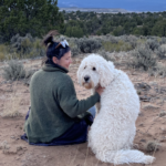 Acupuncture Dreamwork Client Experience leilaninavar.com